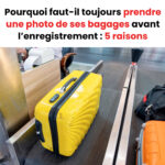 Comment préparer une limonade au concombre maison avec un mixeur : une boisson saine