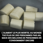 Moelleux au chocolat noir et cœur framboise