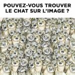 Pourquoi Mettre une Éponge dans le Réfrigérateur ? Les Bienfaits Surprenants