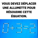 Pourquoi Vous Devriez Toujours Laisser Une Cuillère de Sucre dans Votre Jardin Avant de Quitter la Maison – Un Geste Simple Qui Peut Sauver le Monde