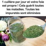 Vous n’êtes pas gras! Votre estomac est gonflé et voici comment s’en débarrasser!