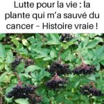 🌿 Titre : Vos chaussures… un ennemi invisible dans votre maison ! 👣