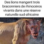 12 Things That Happen When You Burn a Bay Leaf at Home Every Night