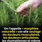 Découvrez ce que votre perception révèle sur votre bien-être mental