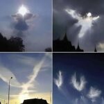 Les 5 indices révélateurs qu’une personne âgée demande plus d’attention et de soins