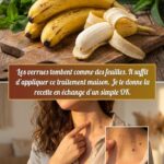 Menthe et Citron : Le remède maison qui purifie, rajeunit et vous donne de l’énergie en quelques minutes