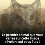 Les fraises de ce pays sont à éviter absolument…Voir plus