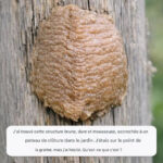 Sécher son linge directement dans la machine à laver : l’astuce qui remplace un sèche-linge