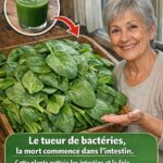 Les fraises de ce pays sont à éviter absolument