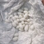 Oh mon Dieu ! Je cherchais cette recette depuis des années. Ma mère en préparait souvent, et j’ai perdu sa recette. Merci infiniment ! Elle les appelait toujours « les rochers du Michigan »