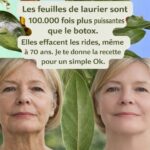 J’adore les tourterelles mais je savais pas que leur présence voulait dire ça