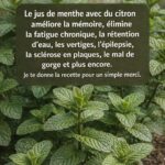 La véritable utilité de l’espace étrange entre les porte-gobelets de voiture étonne Internet