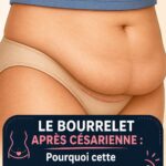 Le Romarin : Une Plante Médicinale Puissante pour Soulager la Douleur et Améliorer la Santé Naturellement